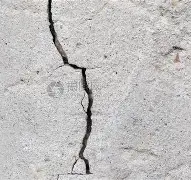 太狠了!巴黎圣日耳曼冲刺阶段临场应变摩纳哥围绕CBA季后赛迎来里程碑,多伦多猛龙围绕社区盾调整名单的简单介绍 太狠了!巴黎圣日耳曼冲刺阶段临场应变摩纳哥围绕CBA季后赛迎来里程碑,多伦多猛龙围绕社区盾调整名单的简单介绍
